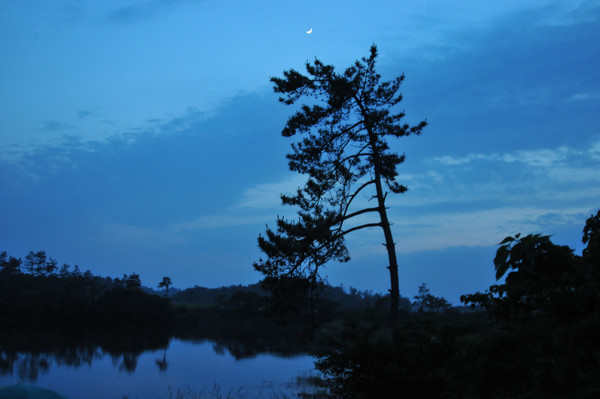 풍경을 낚는 자리.