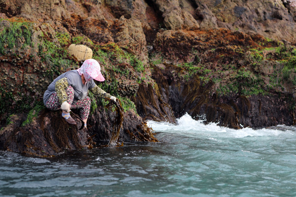 파도를 이겨온 나날이 키운 내력. 암시랑토 않다는 듯, 거침없는 몸짓. 대둔도.