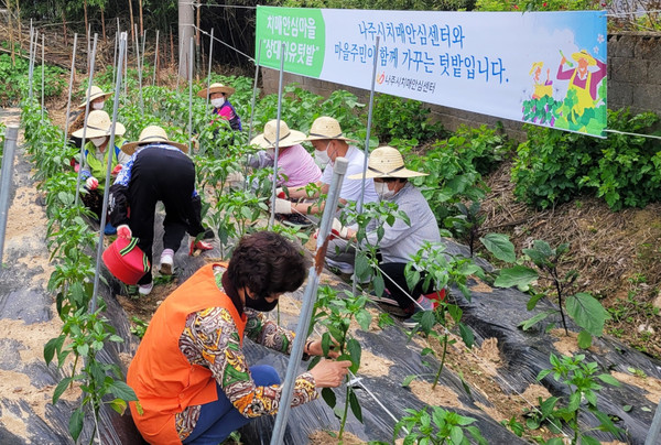 나주시치매안심센터에서 운영하는 치유 힐링 미니케어팜 활동 모습. 나주시 제공