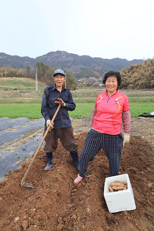 “일을 말할 수도 없이 힜어. 이날 팽생 하루를 쉬어본 적이 없어.” 오늘도 밭고랑에 선 양양금 부부.