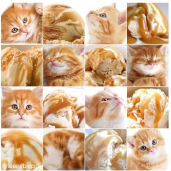 모라벡의 역설.