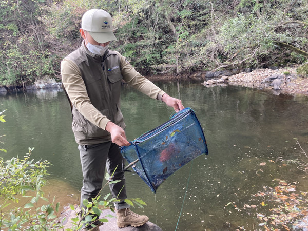 국립공원공단 무등산국립공원동부사무소 직원이 불법 투망을 수거하고 있다. 무등산국립공원동부사무소 제공