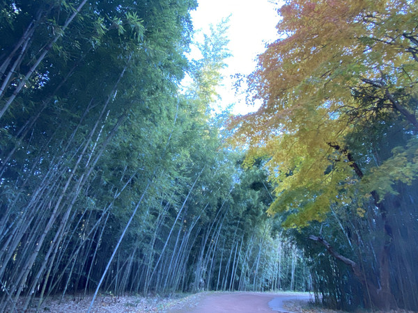 반구대 가는길.