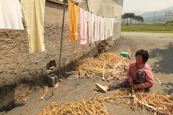 [사진설명]18-“이날 평상 요 손에 발에 묻은 흙을 다 모탔으문 산이 되제.” 오늘도 흙사람으로 말갛게 사는 강후남 할매.