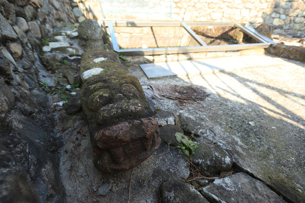 이 동네 할매 어매들을 대대로 지켜봐왔을 터.