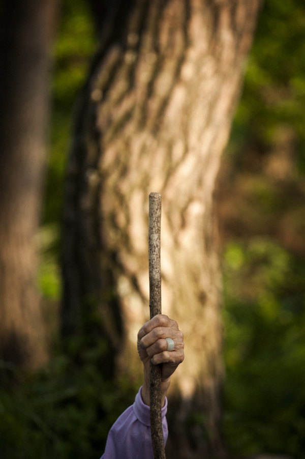 밀양 장동, 한금선, 2013