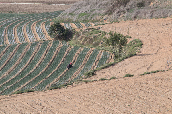 무안 해제면 덕산리.