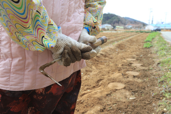 “잠을 자도 풀이 어른어른거려서 잠이 안와. 일을 해불어야 개안하제.”