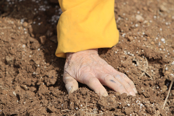 “팽생 손에서 흙이 안 떨어졌어.”
