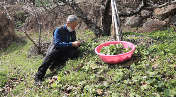 “우리 딸한테 머구 싸서 보낸께 좋소.” 안종택 어르신.
