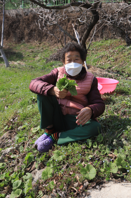 “한 주먹 갖다 잡사. 나한테 앵긴 사람은 다 주고자와.” 차양순 어매.