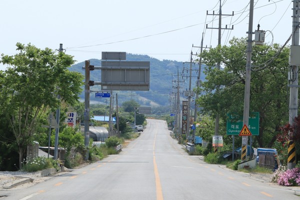 세월 흐르며 벚나무는 베어지고 소달구지가 가던 길은 국도 30호선으로 확포장되었다.