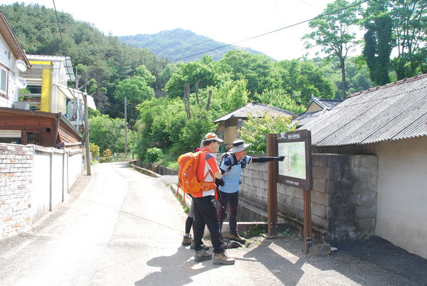 커다란 감나무가 서 있는 원장선 마을입구 들머리.