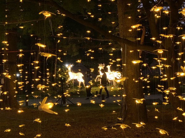 암사동선사문화축제 설치미술과 조명.