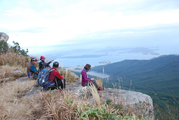 울창한 난대림.
