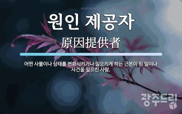 원인제공자.@전주언(전 서구청장)페북에서