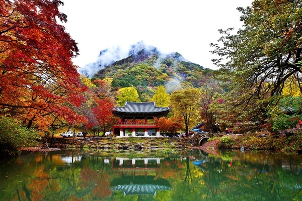 장성 백양사 쌍계루.  장성군 제공.