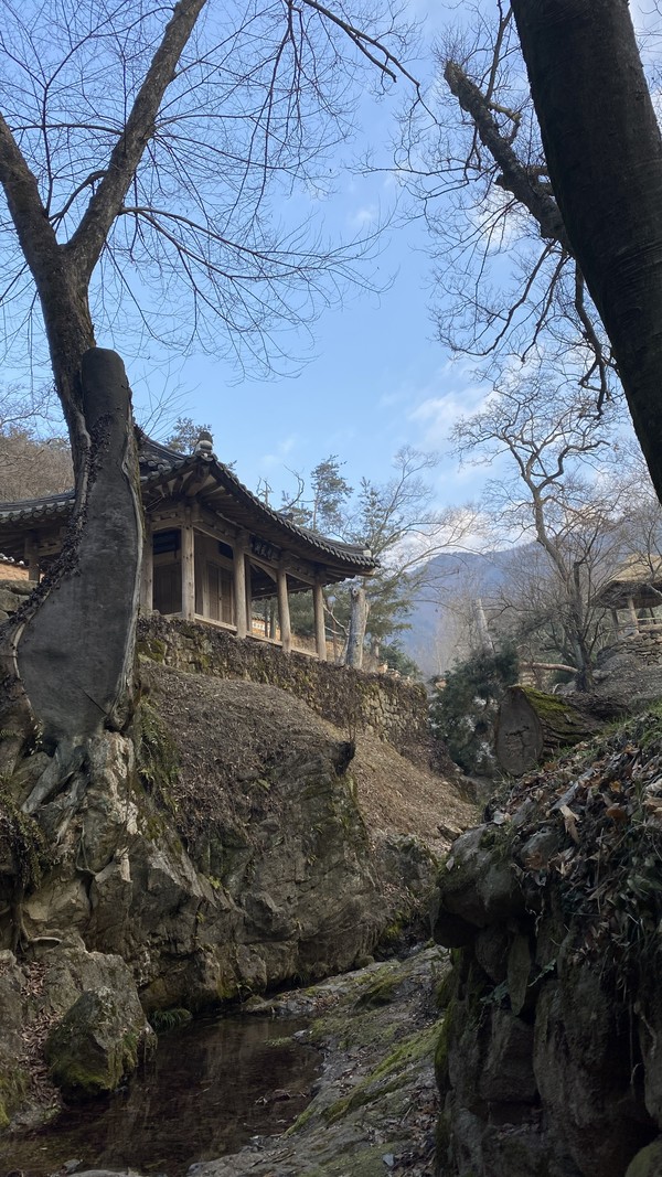 청초한 겨울 소쇄원.