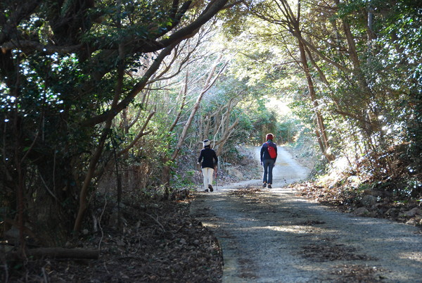 필봉산 가는 길.