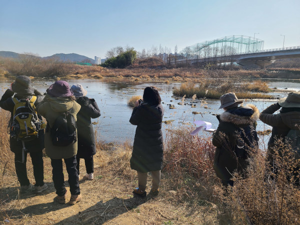 도시새 조사 장면. 광주환경운동연합 제공