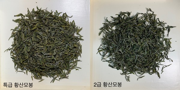 특급 황산모봉과 2급 황산모봉: 이 정도의 차이가 나는 것은 시각적으로 그 등급을 구분하는 것은 어렵지 않다. 이렇게 등급의 판단이 쉬웠으면 오늘날의 차시장이 이 정도로 혼탁하지는 않았을 것이다.