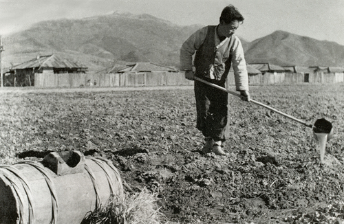 1946년 학동에서 한 농부가 거름 주고 있는 모습.