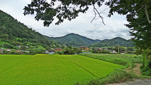 시문마을은 ‘장문터’라고도 한다. 담양군 남면에서 화순군 이서면으로 가는 길가에 있다.
