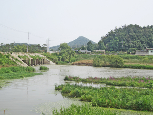 나주 좌창포구. 1970년대까지 생선과 젓갈을 실은 장삿배들이 이 포구에 머물곤 했다.