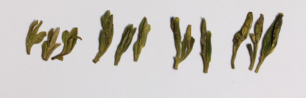 좌로부터 서호용정 특급~3급 건차의 외형. 이 사진에서 보이는 차의 등급은 차를 우려내면 곧장 그 탕색과 향기로 이어진다. 탕색은 등급이 높을수록 맑아지고, 향기는 등급이 낮을수록 더 강렬해진다. 이처럼 차에서 나는 본래의 품종향이 아닌 등급에서 나오는 향을 눈향(嫩香)-호향(毫香)-청향(淸香)-청향(靑香) 순으로 구분한다.　눈향은 극품의 등급이고 어린싹에서 나오는 ‘있음과 없음의 경계’를 말한다. 호향은 특급~1급의 어린 차 싹에서 보이는 백호(白毫)의 향이다. 청향은 2~4급 정도로 녹차 특유의 맑은 향기를 말한다. 맨 마지막의 청향은 쇤 찻잎에서 나오는 비린내가 묻어있는 향을 말한다.