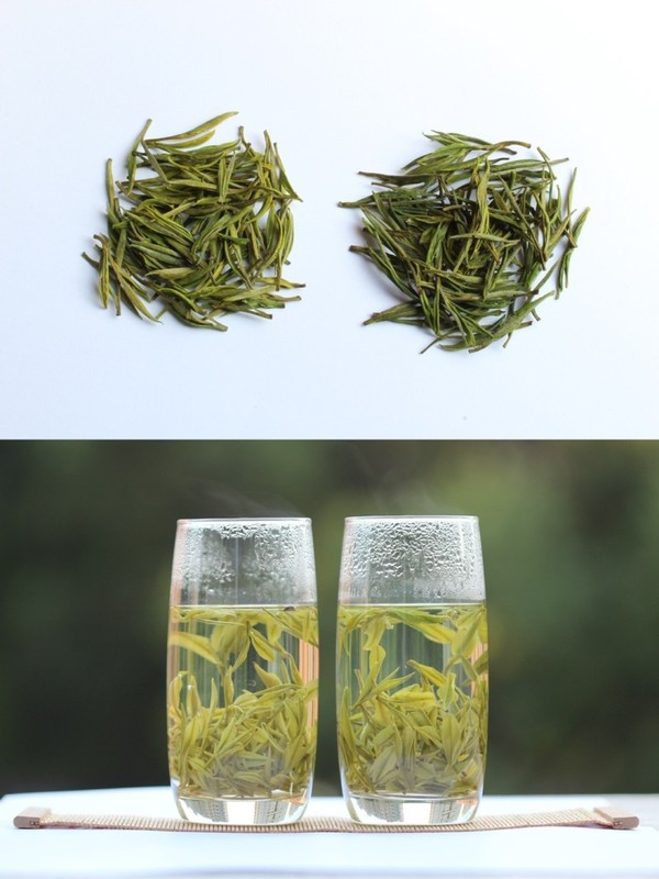 극품과 특급 안길백차의 외형과 우려낸 모습: 극품의 외형이 특급에 비해 몸집이 작으며, 황색이 더 진하다. 특급은 그 반대로 몸집이 크고, 녹색이 더 진하게 보인다. 이는 차를 우려냈을 적에 둘 사이에 탕색은 미세한 차이가 나오지만, 그 구감의 차이는 크다. 엽저 역시도 크기와 빛깔 유연성 등에서 차이를 보인다. 우려낸 차탕 속에서 백차라는 이름에 걸맞게 백색을 띤 황색이 보이고 이는 엽저에도 같은 빛깔이 나온다.