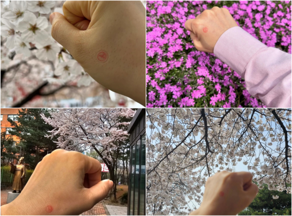 사전투표 둘쨋날인 6일 SNS에 곳곳에 핀 꽃과 함께 투표 인증사진을 공유한 유권자들. SNS 캡쳐.