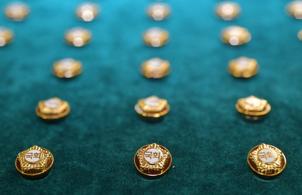 국회의원 금배지. 뉴시스.