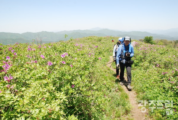 철쭉능선.