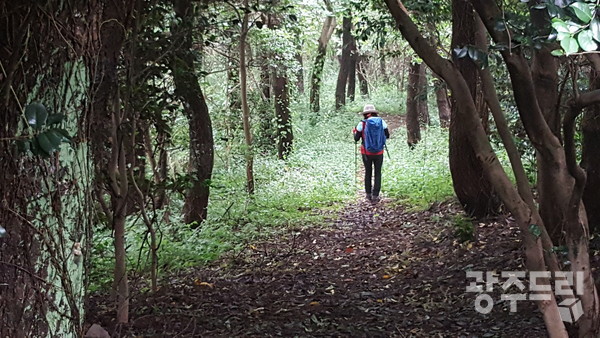 등산로.