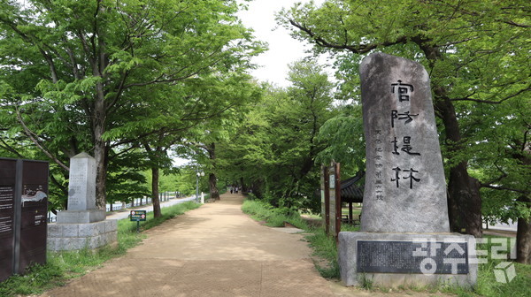 담양천의 북쪽 제방에 있는 방제림인 관방제림. 대한민국 천연기념물 제 66호로 지정돼있다.
