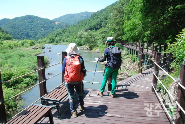 호정소 데크길.