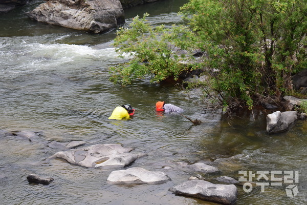 순창 장군목 유원지에 흐르는 섬진강에서 다슬기를 채취하고 있는 주민들.
