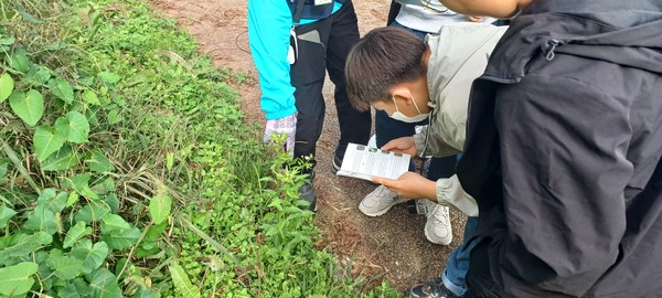멀구슬 열매로 반지 만들기 체험.