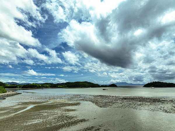 여자만 갯벌 약 38.81㎢가 습지보호지역으로 신규 지정됐다.  여수시 제공.