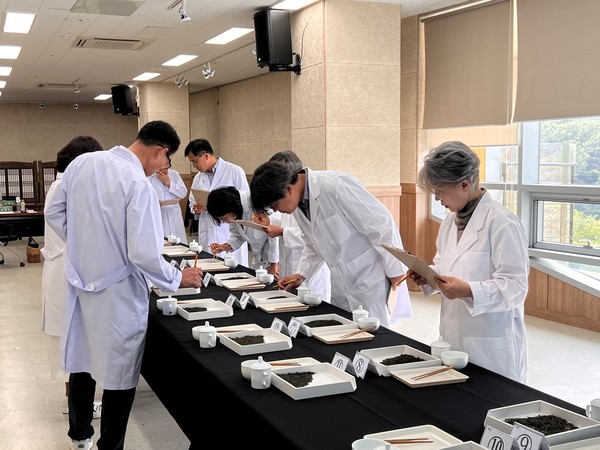 보성 녹차 품질 평가 중인 심사위원들. 보성군 제공.