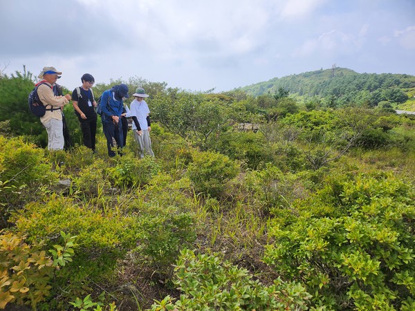 최초 노고단 복원실험구(오구균, 1992).