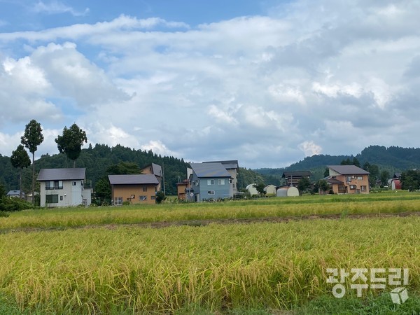일본 최고의 쌀 생산제의 명성을 지닌 니가타현 뜨락의 모습.