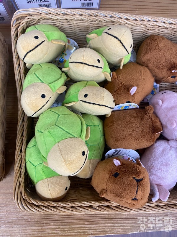 월출산의 깃대종이 남생이라 비슷한 것만 보여도 관심이 집중된다.