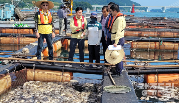 정기명 여수시장이 고수온 양식 피해 현장을 둘러보고 있다. 시는 추석전까지 재난지원금을 지원키로 했다.  여수시