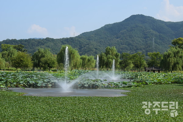 경상남도 제1호 지방정원인 창포원 분수대.
