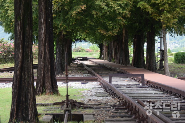 구 서도역 메타세콰이어 나무길 아래 놓여진 철길. 