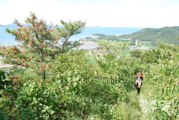 상정봉 날머리.