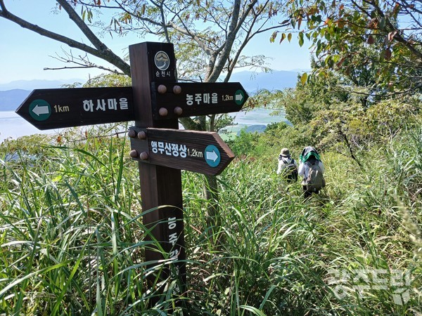 용두재 갈림길.