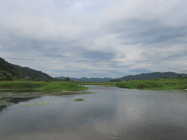 임곡습지 전경.