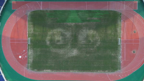 월드컵경기장 현황(8월26일 기준).